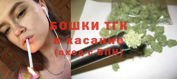 дживик Няндома